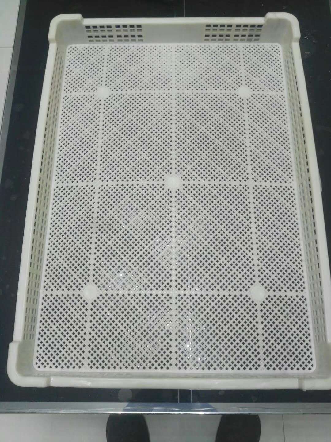  PP注塑填充母料保障塑料烘盤高溫不變形有效降成本