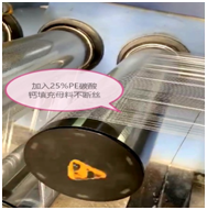 PE碳酸鈣填充母可