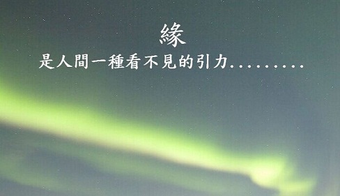 浙江填充母料廠家